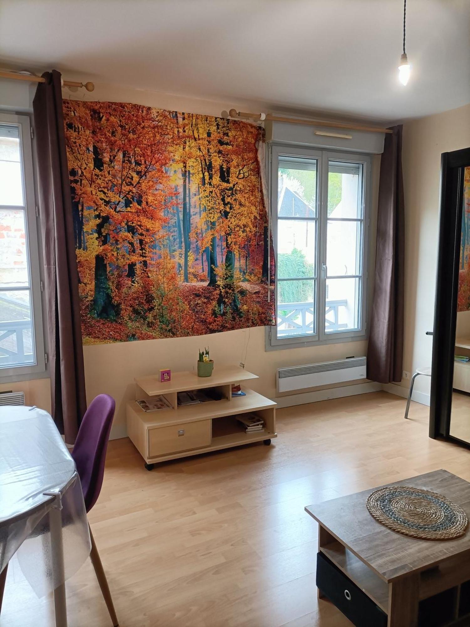 Le Cheval Blanc Sur Le Loir Apartment La Chartre-sur-le-Loir